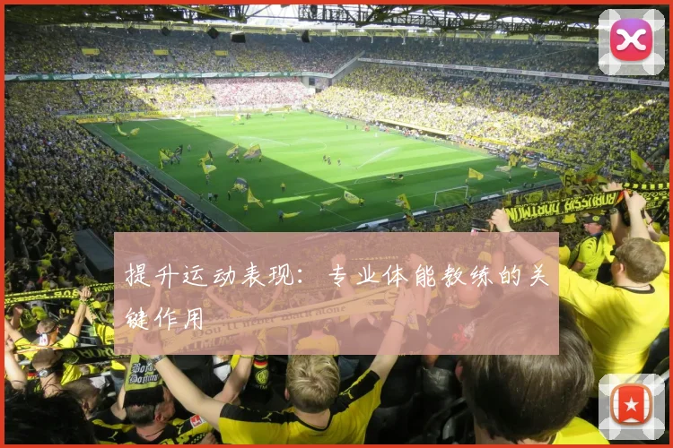 提升运动表现：专业体能教练的关键作用